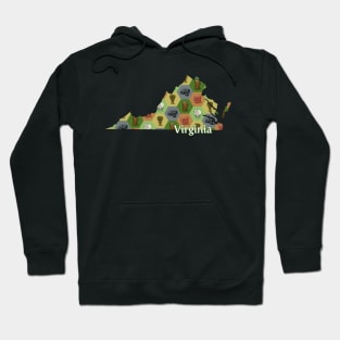 Virginia State Map Board Games Hoodie